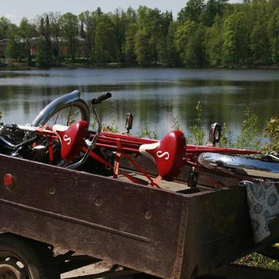 2008 Kuidas Elad Laemmijaerv 819 20170321 1398041549