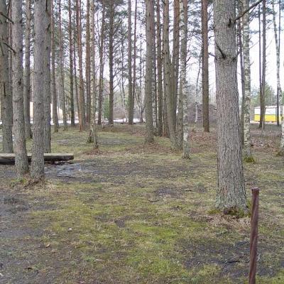 2008 Kuidas Elad Laemmijaerv 824 20170321 1724321120