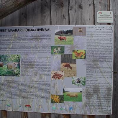 2008 Kuidas Elad Laemmijaerv 839 20170321 1464173435