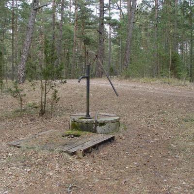 2008 Kuidas Elad Laemmijaerv 843 20170321 1893971390