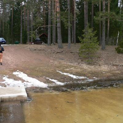 2008 Kuidas Elad Laemmijaerv 864 20170321 1493221865