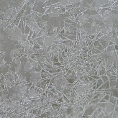 2008 Kuidas Elad Laemmijaerv 866 20170321 1984712889