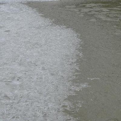 2008 Kuidas Elad Laemmijaerv 868 20170321 2036736589