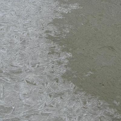 2008 Kuidas Elad Laemmijaerv 869 20170321 1754458807