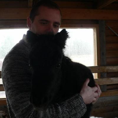 2008 Kuidas Elad Laemmijaerv 877 20170321 1868870990