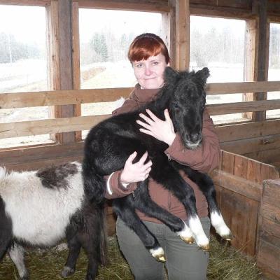 2008 Kuidas Elad Laemmijaerv 879 20170321 1601588069