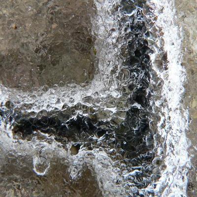 2008 Kuidas Elad Laemmijaerv 897 20170321 2047184831