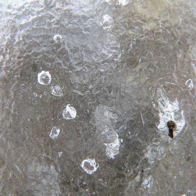 2008 Kuidas Elad Laemmijaerv 898 20170321 1727444967