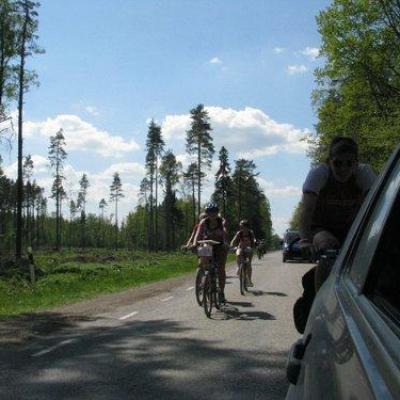 2008 Kuidas Elad Laemmijaerv 90 20170321 1397128025