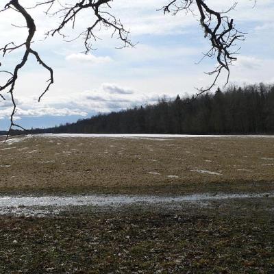 2008 Kuidas Elad Laemmijaerv 933 20170321 1223698865