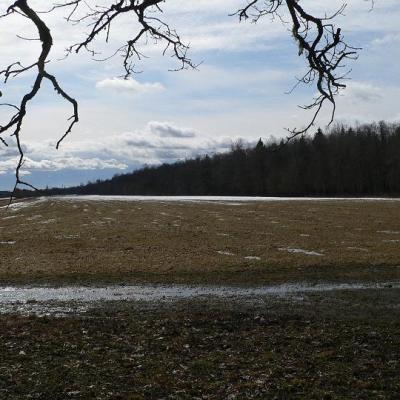 2008 Kuidas Elad Laemmijaerv 934 20170321 1398854176