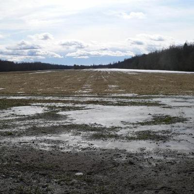 2008 Kuidas Elad Laemmijaerv 935 20170321 1139812005