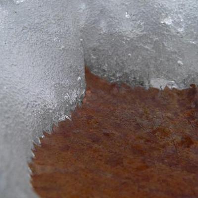 2008 Kuidas Elad Laemmijaerv 946 20170321 1596992819