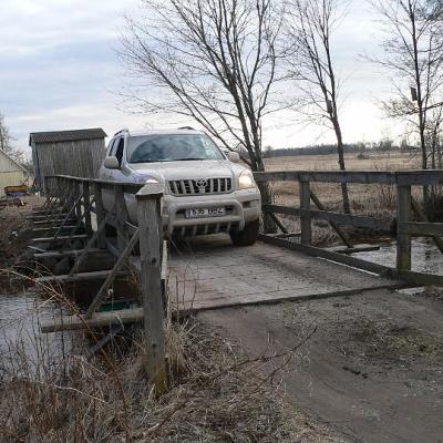 2008 Kuidas Elad Laemmijaerv 961 20170321 1808243463