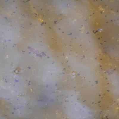 2008 Kuidas Elad Laemmijaerv 969 20170321 1954509634