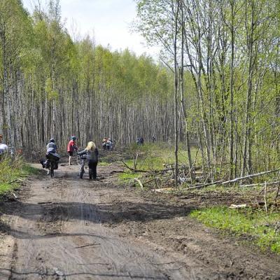 2009 Kuidas Elad Luitemaa 105 20170321 1549288489