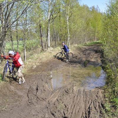 2009 Kuidas Elad Luitemaa 108 20170321 1779597778