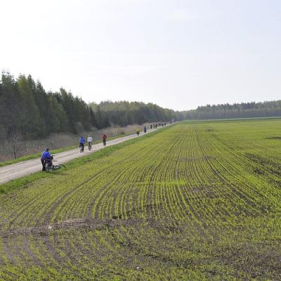 2009 Kuidas Elad Luitemaa 160 20170321 2069426553