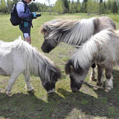 2009 Kuidas Elad Luitemaa 187 20170321 1382349628