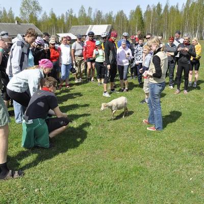 2009 Kuidas Elad Luitemaa 189 20170321 1691052905