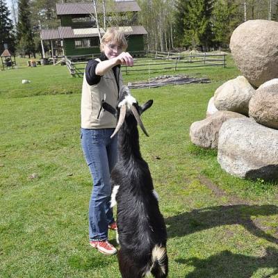 2009 Kuidas Elad Luitemaa 197 20170321 1712335186