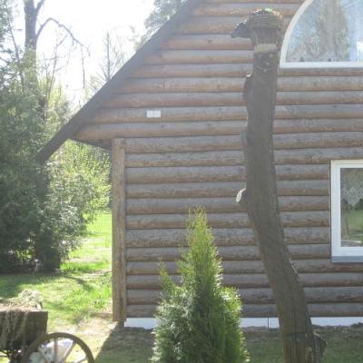 2009 Kuidas Elad Luitemaa 222 20170321 1271516695