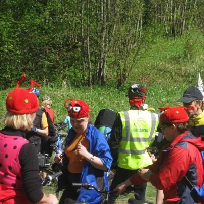 2009 Kuidas Elad Luitemaa 224 20170321 1499620547