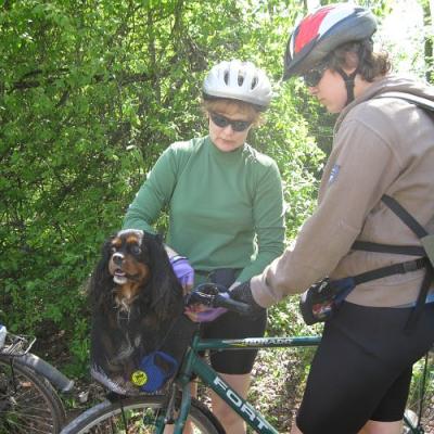 2009 Kuidas Elad Luitemaa 228 20170321 1747136506