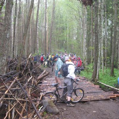 2009 Kuidas Elad Luitemaa 242 20170321 1081506457