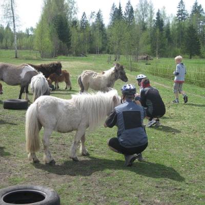 2009 Kuidas Elad Luitemaa 263 20170321 1768592825