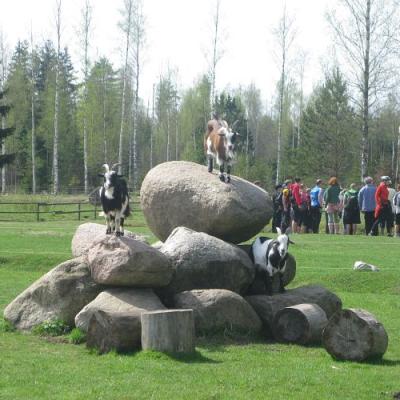 2009 Kuidas Elad Luitemaa 265 20170321 1353260285