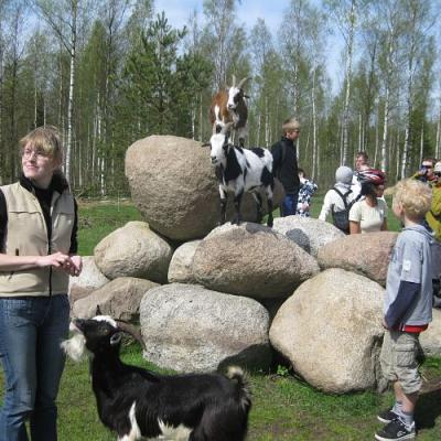 2009 Kuidas Elad Luitemaa 267 20170321 1396020947