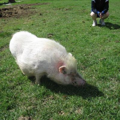 2009 Kuidas Elad Luitemaa 269 20170321 1100105084