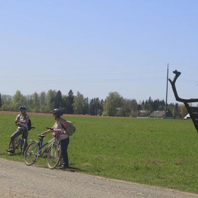 2009 Kuidas Elad Luitemaa 326 20170321 1102860295