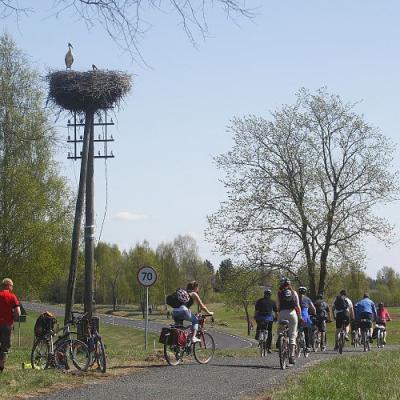 2009 Kuidas Elad Luitemaa 338 20170321 2092890900