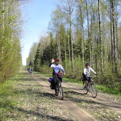 2009 Kuidas Elad Luitemaa 36 20170321 1748091999