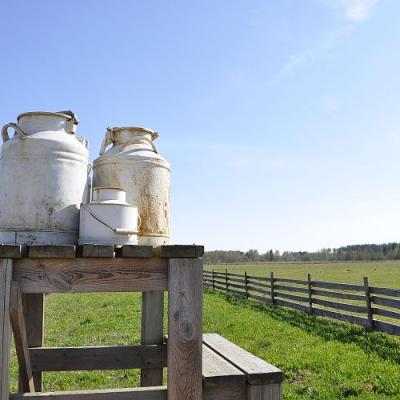 2009 Kuidas Elad Luitemaa 39 20170321 1505732031