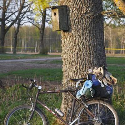 2009 Kuidas Elad Luitemaa 422 20170321 1821503342