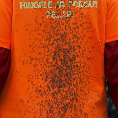 2009 Kuidas Elad Luitemaa 472 20170321 1494248259