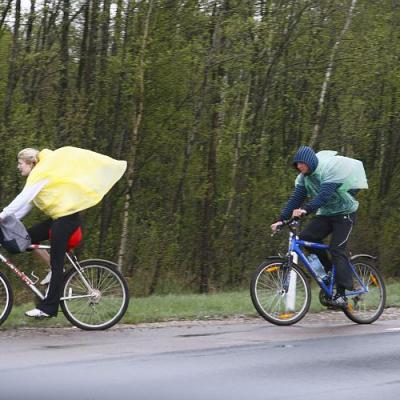 2009 Kuidas Elad Luitemaa 473 20170321 1927238178