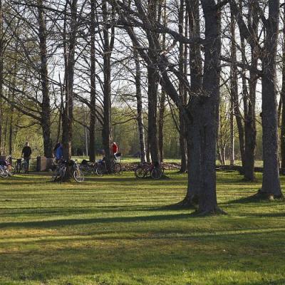 2009 Kuidas Elad Luitemaa 533 20170321 1098343570