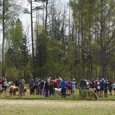 2009 Kuidas Elad Luitemaa 601 20170321 1935535487