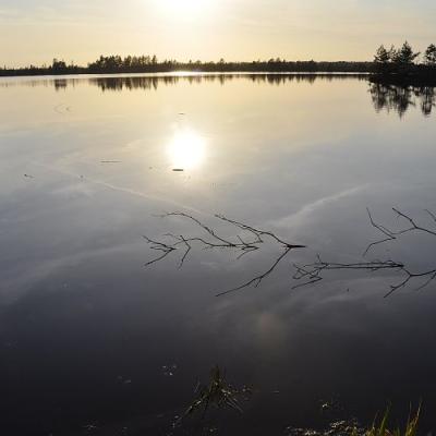 2009 Kuidas Elad Luitemaa 67 20170321 1993377307