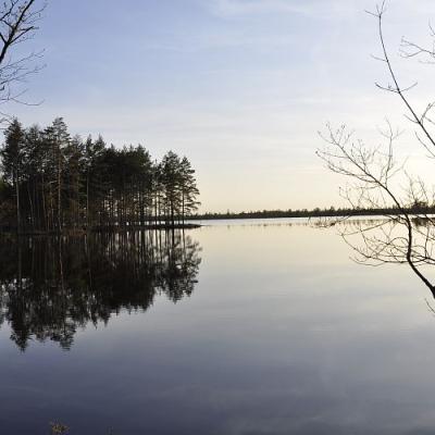 2009 Kuidas Elad Luitemaa 68 20170321 1507575161