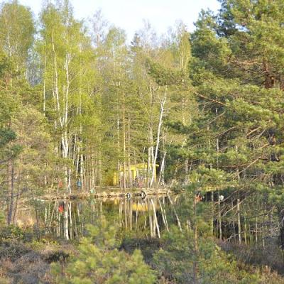 2009 Kuidas Elad Luitemaa 69 20170321 1598910937