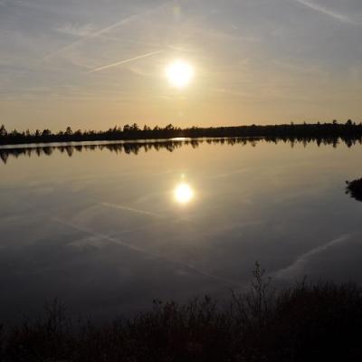 2009 Kuidas Elad Luitemaa 70 20170321 1130979603