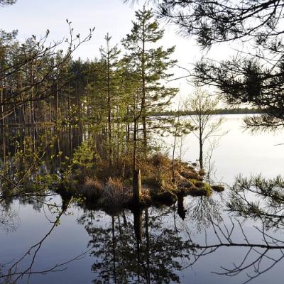 2009 Kuidas Elad Luitemaa 75 20170321 2091963360