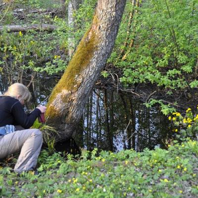 2009 Kuidas Elad Luitemaa 78 20170321 1084874862