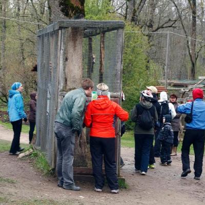 2010 Roheliste Rattaretk Kuidas Elad Vooremaa 68 20170321 1403842500