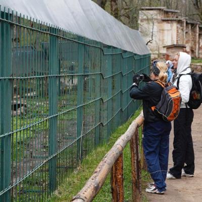 2010 Roheliste Rattaretk Kuidas Elad Vooremaa 69 20170321 1778635686